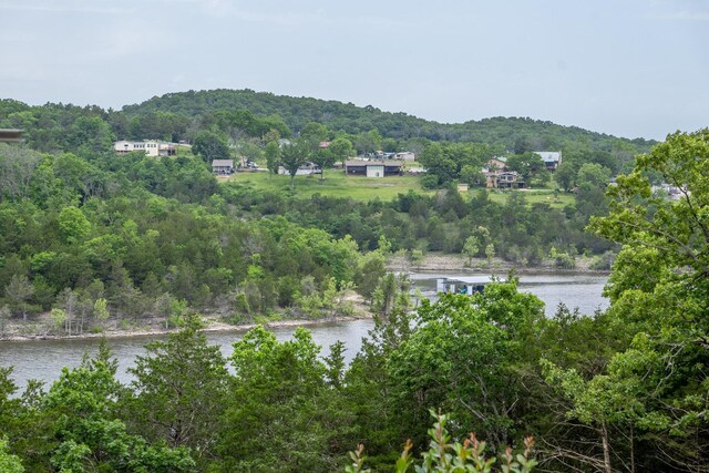 512 Nature Trail Rd, Blue Eye, MO 65611 - photo 59