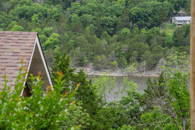512 Nature Trail Rd, Blue Eye, MO 65611 - photo 58
