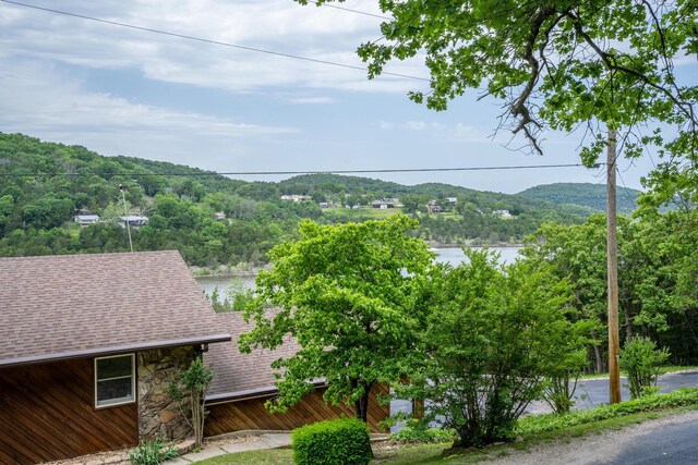 512 Nature Trail Rd, Blue Eye, MO 65611 - photo 56