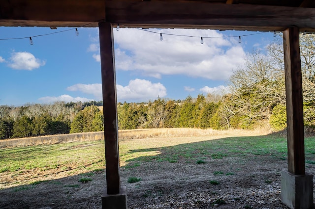 view of yard featuring a view of trees