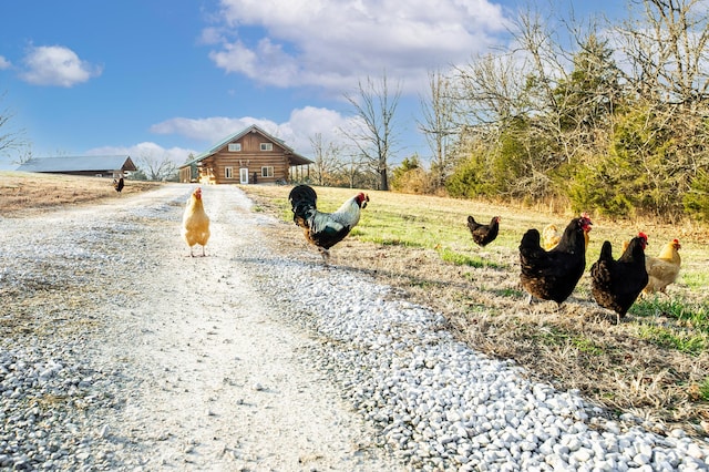 view of street with a rural view and driveway