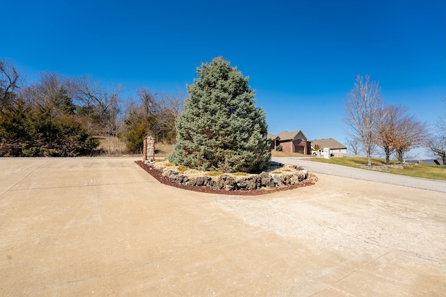 view of yard featuring curved driveway