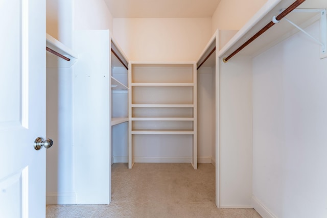 walk in closet featuring carpet flooring