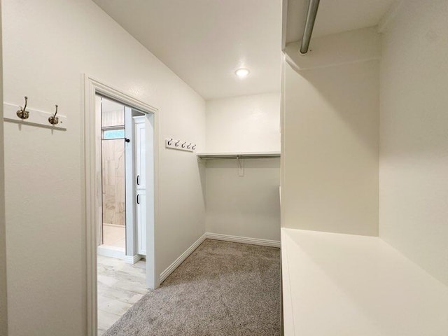 spacious closet with light carpet