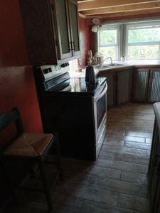 kitchen featuring electric range, dark wood-style flooring, and a sink