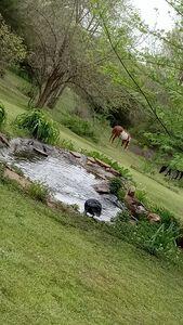 view of property's community featuring a lawn