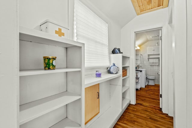 hallway featuring lofted ceiling and dark wood-style flooring