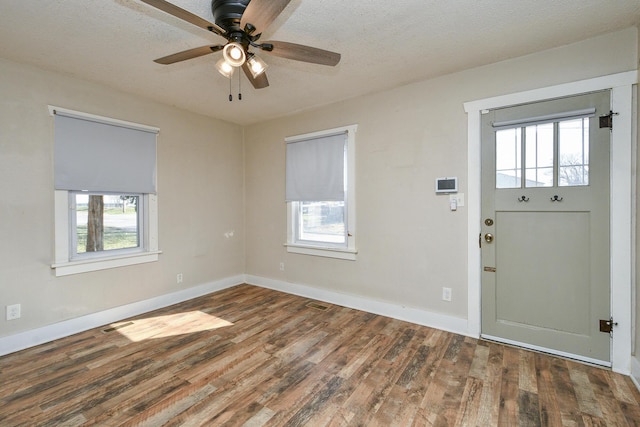 foyer entrance featuring plenty of natural light, wood finished floors, and a ceiling fan