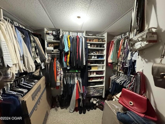 spacious closet with a drop ceiling and carpet flooring