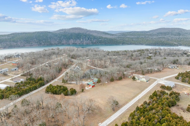 birds eye view of property featuring a water and mountain view