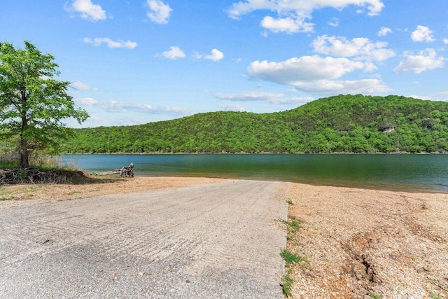 water view with a forest view