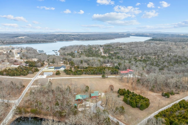 aerial view with a view of trees and a water view