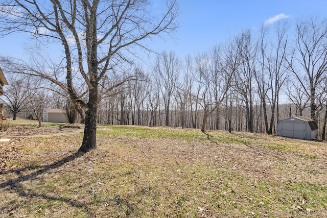 view of yard featuring a storage shed and an outdoor structure