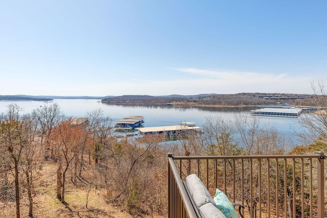 view of water feature with a dock