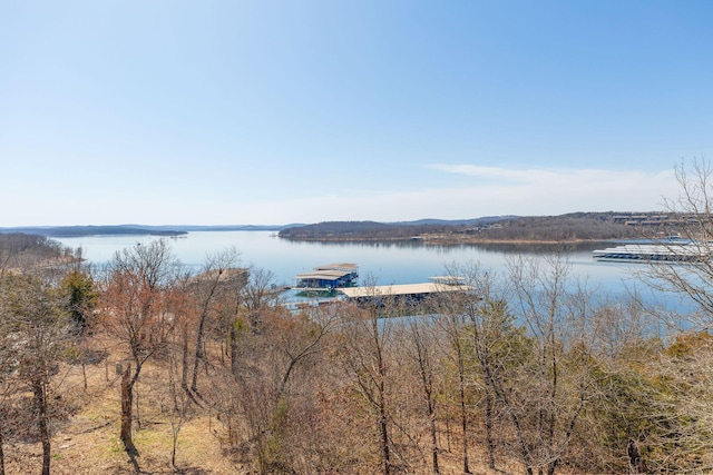 property view of water featuring a floating dock