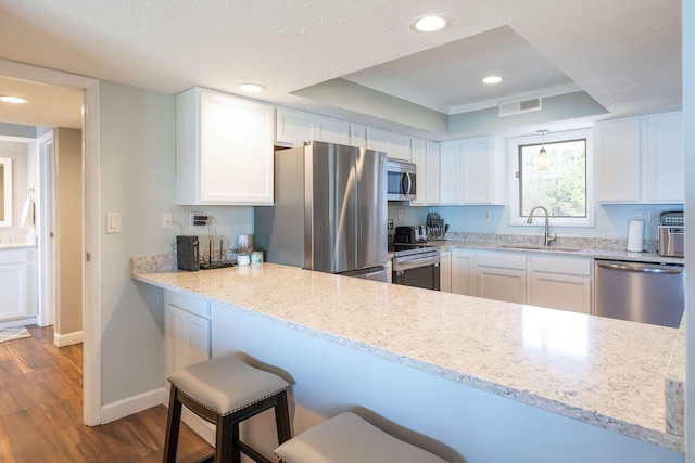 kitchen featuring a raised ceiling, visible vents, appliances with stainless steel finishes, and a sink