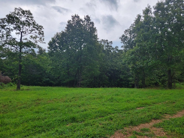 view of local wilderness with a wooded view