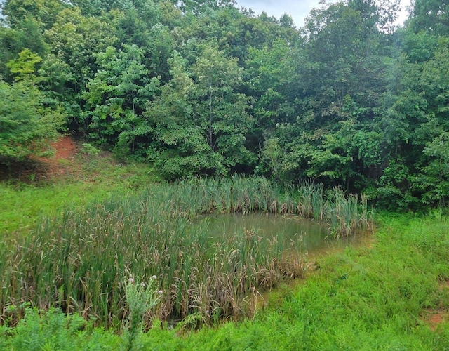 view of local wilderness featuring a wooded view