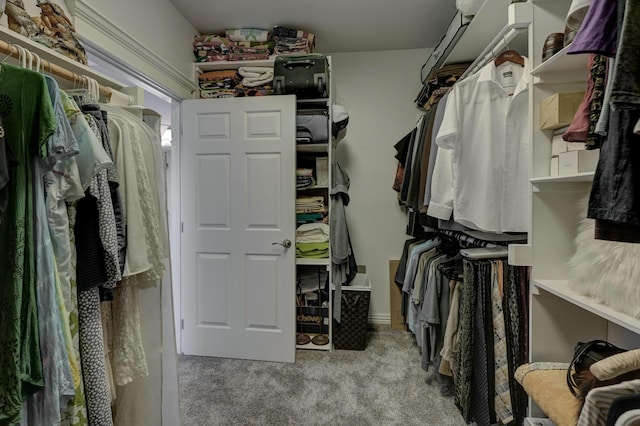 spacious closet with carpet floors