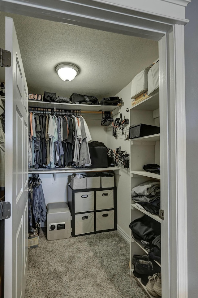 walk in closet featuring carpet