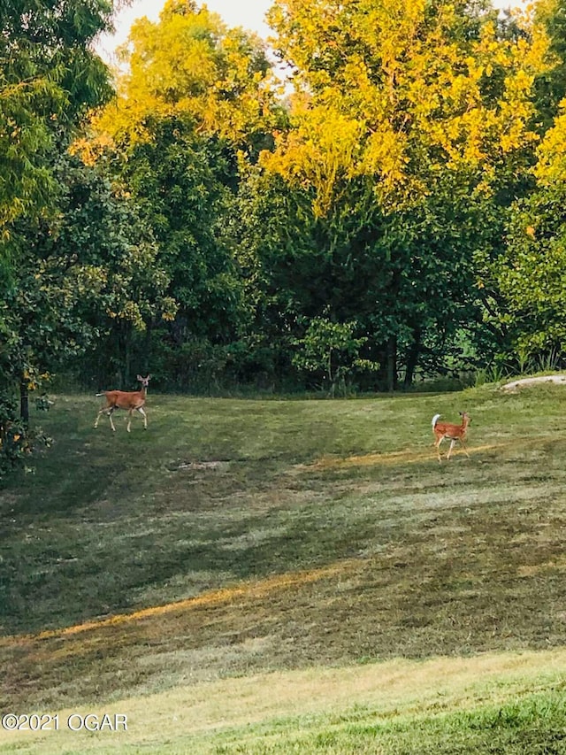 view of yard with a rural view