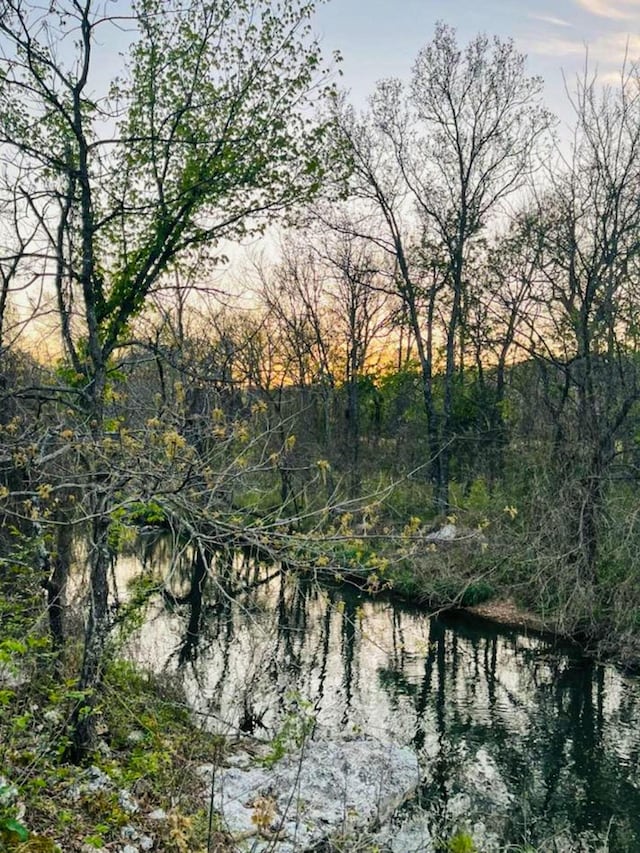 view of local wilderness featuring a forest view