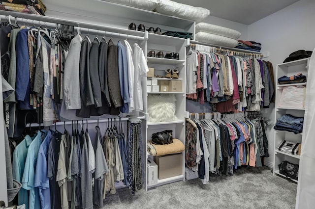 spacious closet with carpet floors