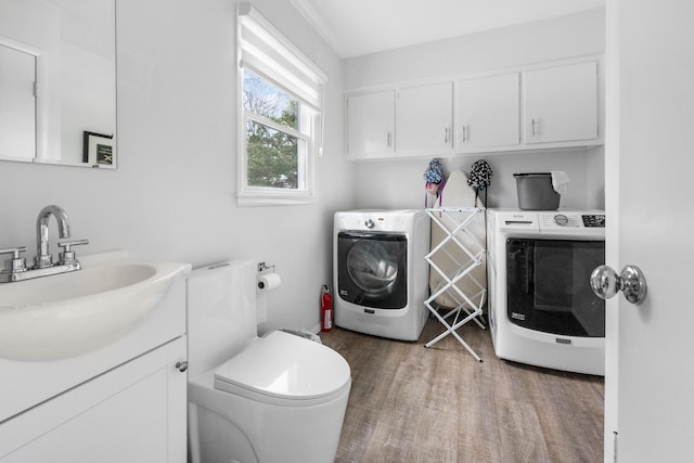 bathroom featuring toilet, vanity, and wood finished floors