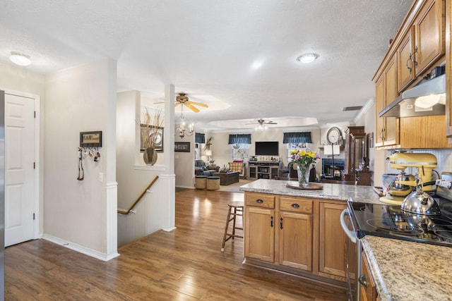 kitchen featuring ceiling fan, under cabinet range hood, open floor plan, a peninsula, and electric stove