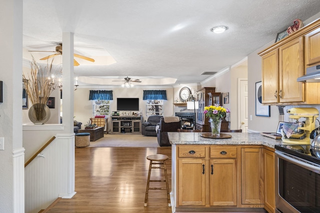 kitchen featuring open floor plan, a peninsula, stainless steel range with electric cooktop, wood finished floors, and a ceiling fan