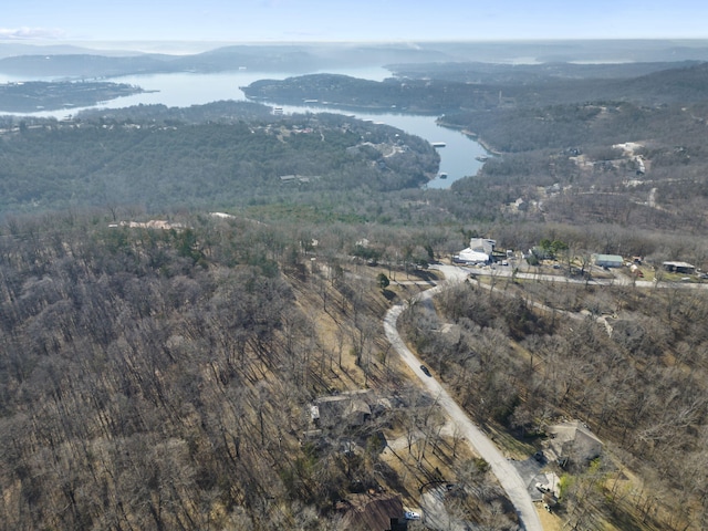 property view of mountains featuring a view of trees and a water view