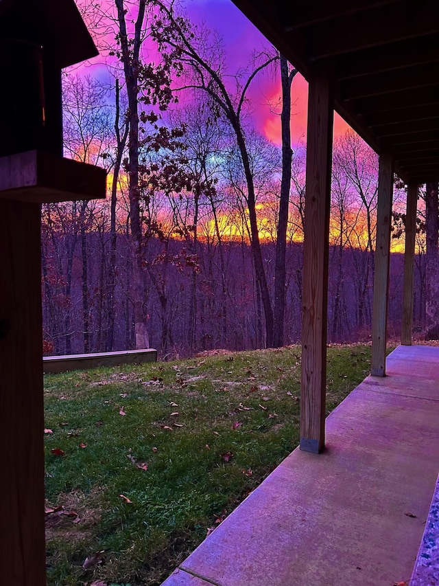 yard at dusk with a patio