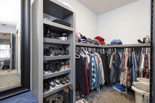 spacious closet with carpet