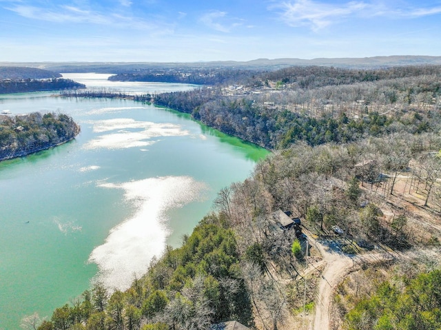 drone / aerial view featuring a wooded view and a water view