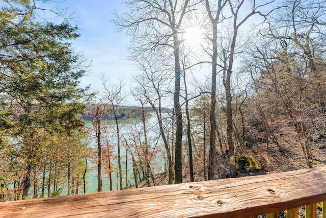 water view featuring a view of trees