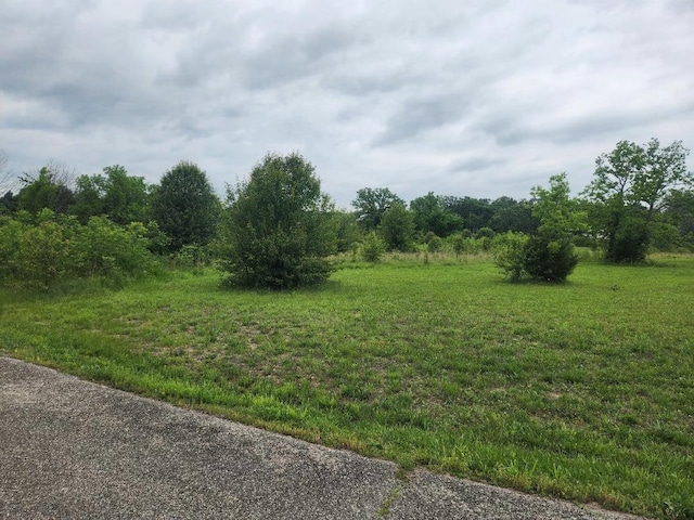 LOT9 Country Music Ln, Galena, MO 65656 - photo 3