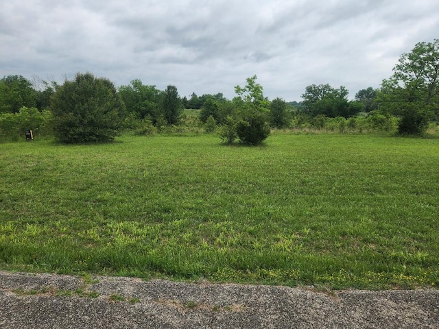 LOT9 Country Music Ln, Galena, MO 65656 - photo 1