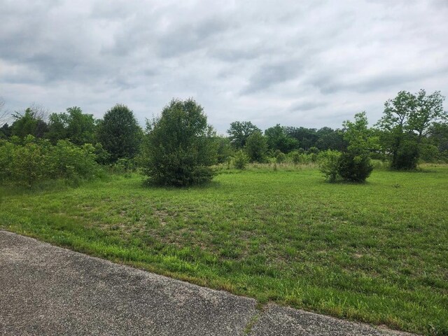 LOT9 Country Music Ln, Galena, MO 65656 - photo 4