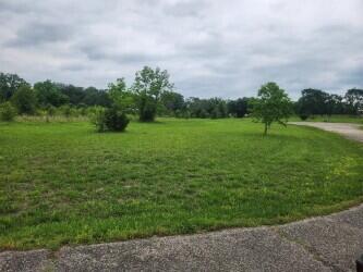 LOT9 Country Music Ln, Galena, MO 65656 - photo 5