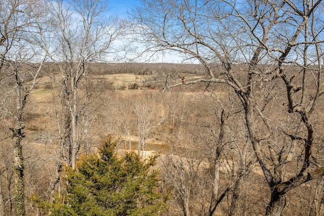 view of landscape