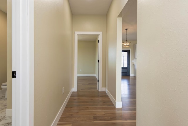1883 S Farm Rd Unit 107, Springfield, MO 65802 - hall featuring dark wood-style flooring and baseboards