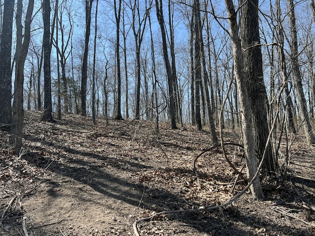 view of local wilderness