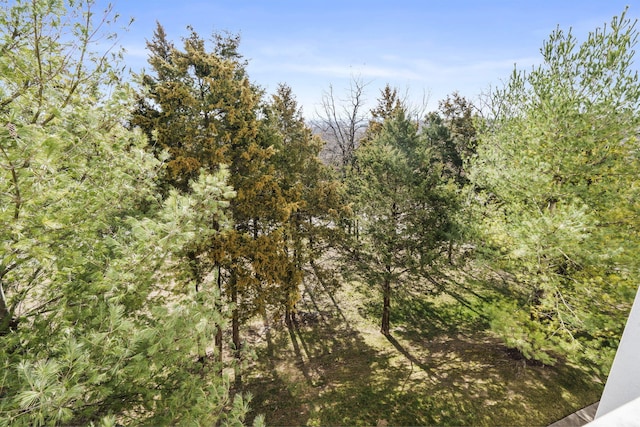 201 Prairie Dunes Drive 1301/1302 & 1307/1308, Branson, MO 65616