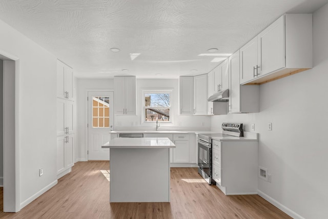 kitchen with under cabinet range hood, light wood-style flooring, stainless steel range with electric cooktop, and a sink