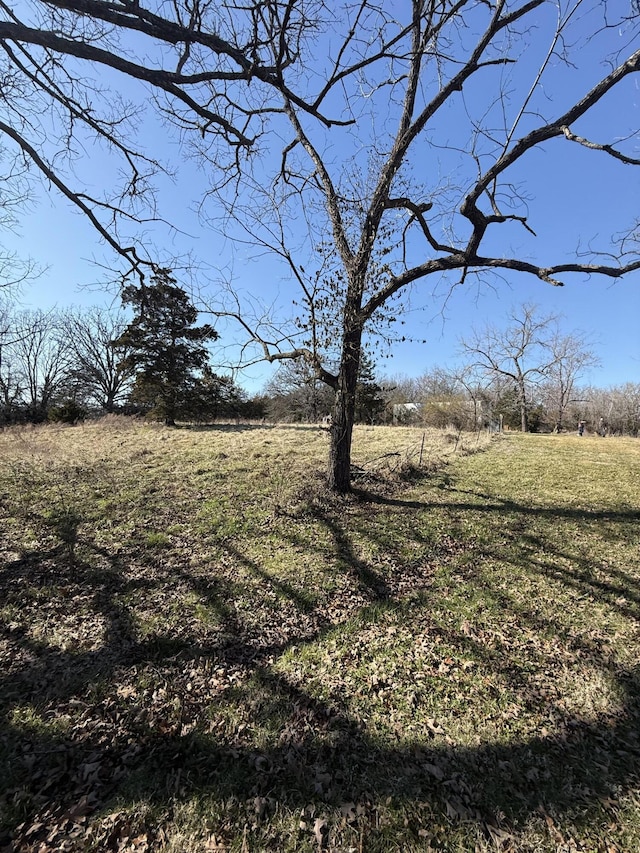 view of yard with a rural view