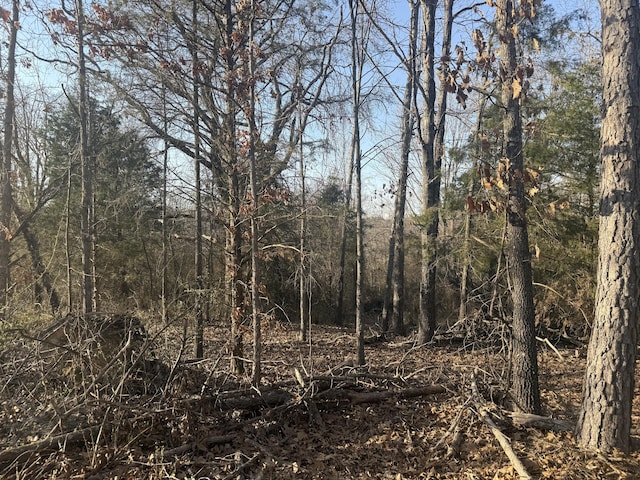 view of local wilderness