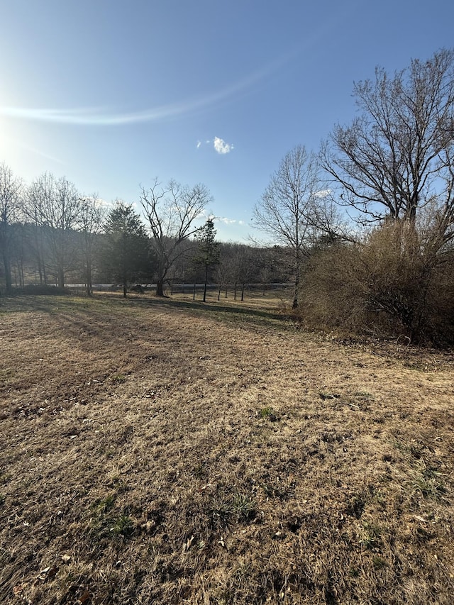 view of yard with a rural view