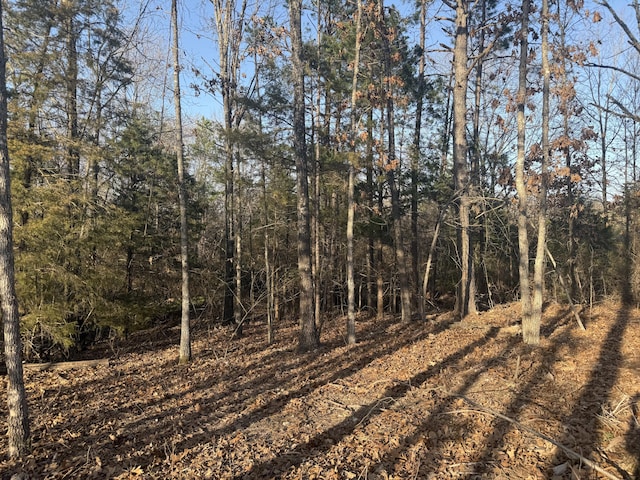 view of local wilderness