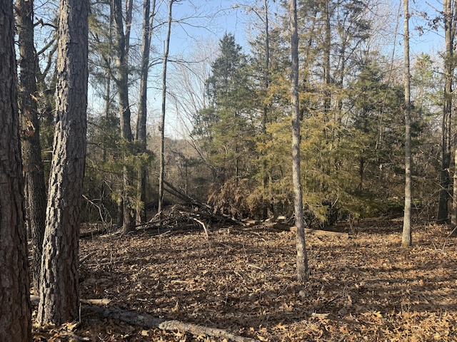 view of local wilderness featuring a wooded view