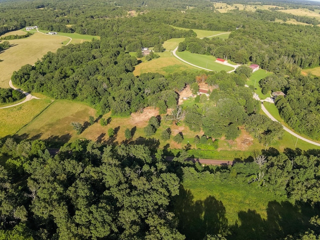 2887 County Road 5620, Willow Springs, MO 65793 - photo 5